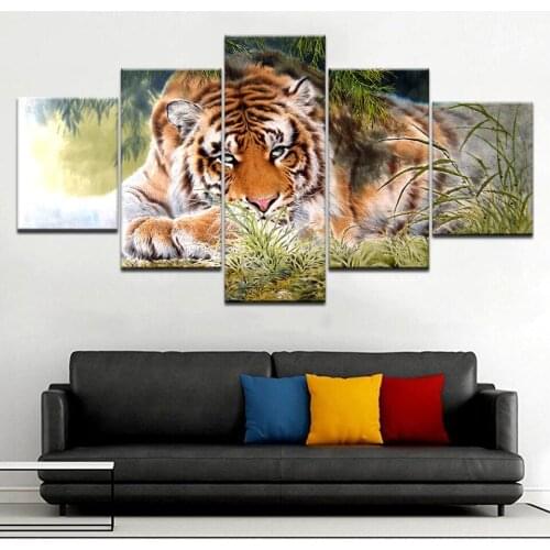 The tiger lying in grass bright eyes animal 5 Panel HD Print wall posters Canvas Art Painting For home living room decoration