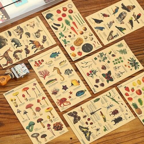 8 pcs/Lot Kraft paper sticker for Learning fruit fish vegetable plant insect animal Vintage Stationery School supplies 6132