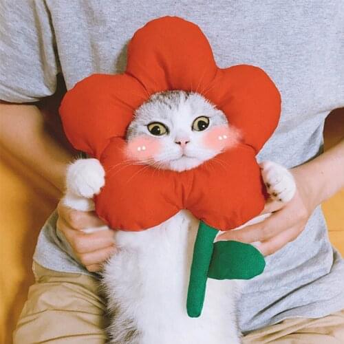 Hand-made little flower head decoration pet costume cat head cute series decoration photo pet supplies cat accessories