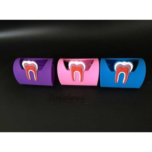 3pcs Dentistry Rubber Dental Teeth Tooth Name Card Holder Case