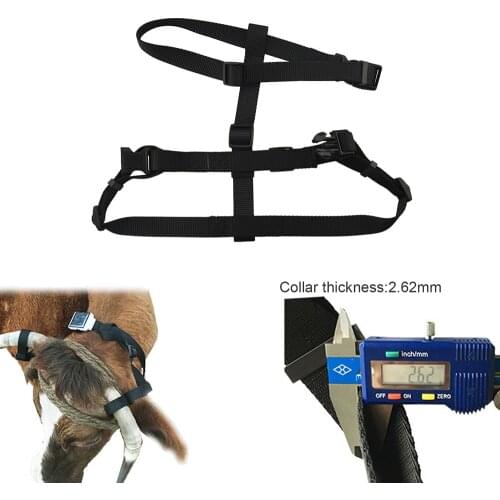 Best GPS accessory Pet collar for Solar-powered GPS tracker RF-V26 RF-V26+ Belt for Cow Sheep Horses Big Animals No GPS include