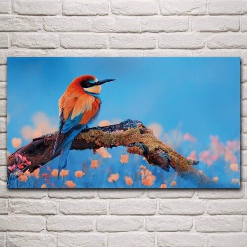 Rainbow bee eater beautiful bird animal fabric posters on the wall picture home living room decoration for bedroom KM121