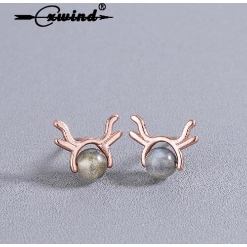 Cxwind Antler Ear Nails Inlaid Strawberry Crystal Stone Stud Earring Deer Head Elk Earrings Girl Birthday Christmas Gift