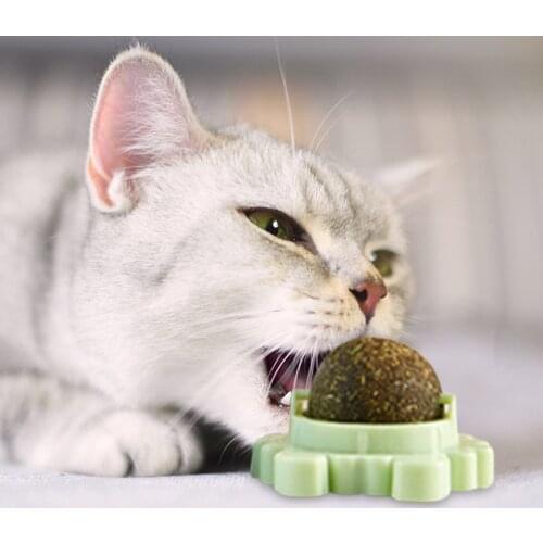 3pc Cat Mint Rotating Ball Molar Teeth Cleaning Happy Interactive Cat Toy Cat Treats Energy Tooth Clean Chewing Catnip Product