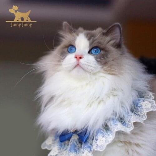 Cat Dog Costume,Cat Accessories,Pet Scarf Collar Puppy Small Dogs and Cats Universal for Christmas New Year Birthday #Jinny