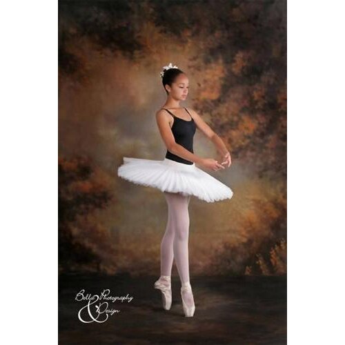 10x20ft old master muslin brown clouded hand painted photography backdrop,wedding backgrounds for photo studio