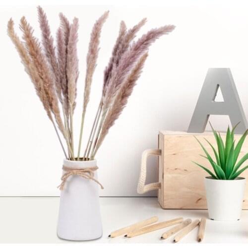 15pcs Desktop Small Reed Natural Dried Small Pampas Grass Phragmites Artificial Plants Wedding Flower Bunch for Home Decoration
