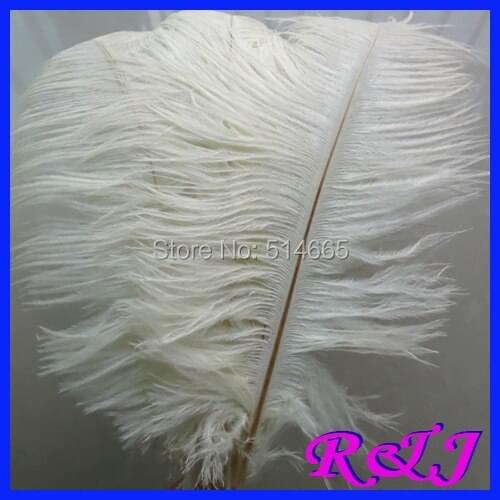 EMS Free shipping Cheap ostrich feather 100pcs 18-20 inches 45-50cm Cream / Ivory plumage ostrich plume