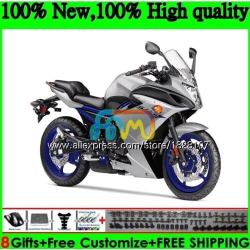 FZ6 R Kit For YAMAHA FZ6N FZ6R 09 10 11 12 13 14 15 117BS.22 FZ New silvery 6R FZ-6R 2009 2010 2011 2012 2013 2014 2015 Fairing