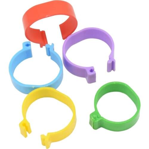 100 pcs Chicken Leg Bands 25 mm Chicken Poultry Rings 5 Colors Pigeon Geese Quail Bird Ring Carry tools Feeding Logo