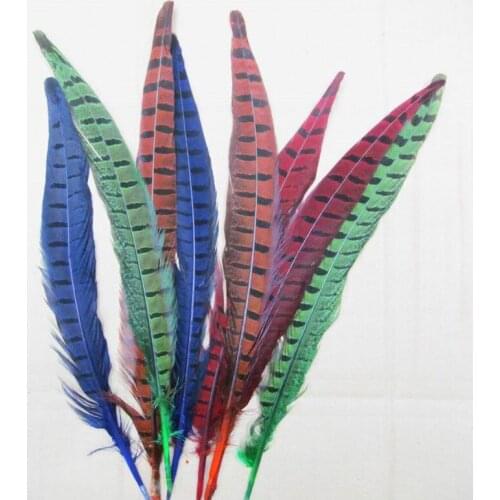 Wholesale 100 pcs beautiful natural Mixed color Pheasant Feather 12-14 inches 30-35 cm free shipping