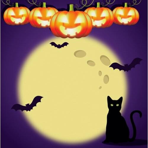 Halloween Backdrop For Photography Light Bokeh Full Moon Pumpkin Black Bat Cat Child Shoot Treat or Trick Party Photo Background