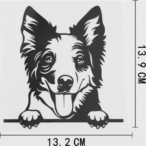 13.2CMX13.9CM Lovely Australian Shepherd Peeking Decal Vinyl Car Sticker Black/Silver 8A-0556