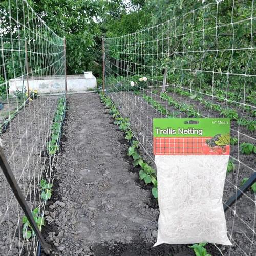 1.67x5m Plant Trellis Netting Polyester Garden Beans Dragon Fruit Melons Vine Net Flower Netting Plant Climbing Garden Supplies