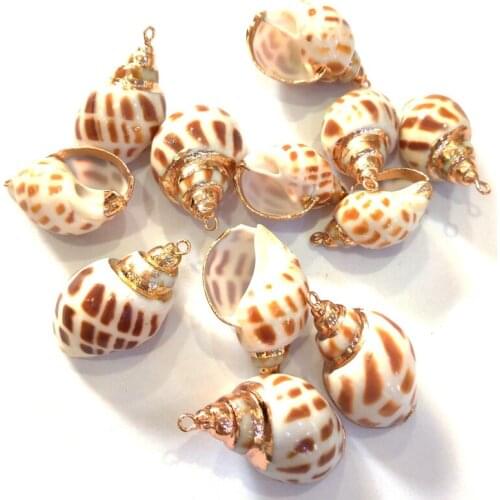 5 Pcs Natural Shell Pendants Exquisite Conch Pendant Charms Sea Snail Gold Plated Edge For Jewelry Making Necklace Bracelet Gift