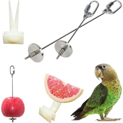 Bird Parrot Stainless Steel Fruit Fork Birdcage Appliance Corn Apple Food Fixed Feeding Small Pet Product Plastic Outdoor Feeder