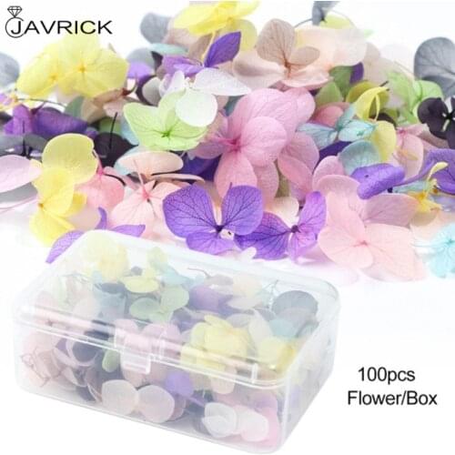 DIY Nail Art Filler Popular Dry Eternal Flowers Beauty Nails Applique Decorative Jewelry Crafts Making Epoxy Filling Material