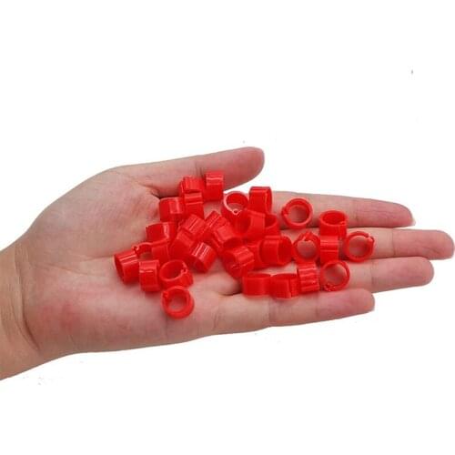 Pigeon Foot Rings Small Red Poultry Foot Ring Multicolor Foot Ring Quail Pigeon Pet Bird Feeding Training Supplies 200 Pcs
