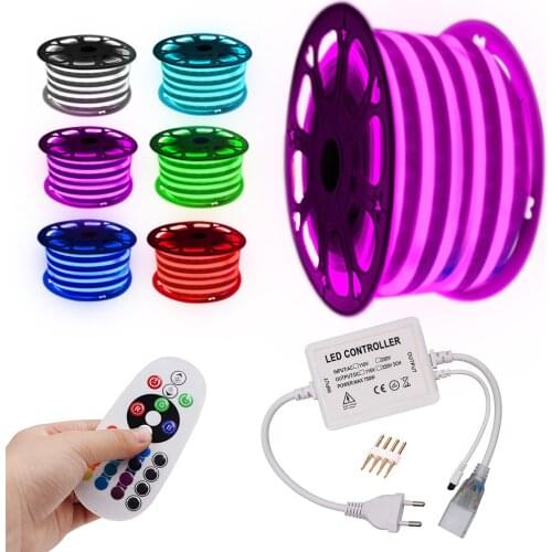 Neon Light LED Strip 220V 110V RGB Remote Control Cold White Warm White Waterproof Flexible Neon Rope US EU UK AU Set Decoration