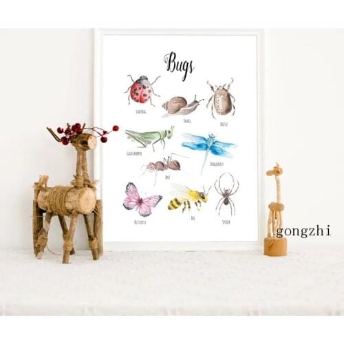 Watercolor Bugs Insects Education Poster Beetle Butterfly Ladybug Canvas Painting and Prints Wall Art Pictures Kids Room Decor