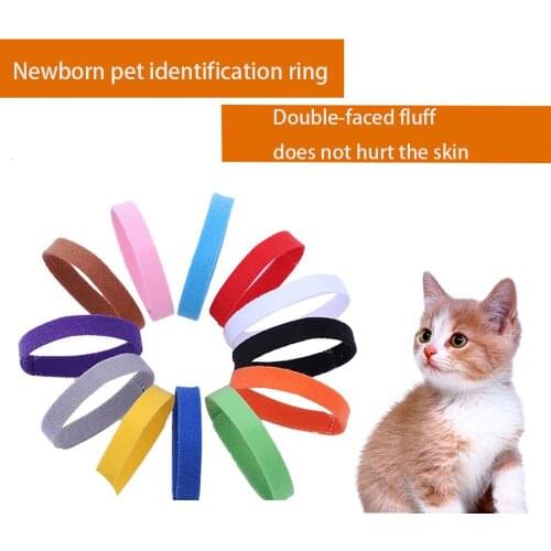 Newborn pet Identification Ring Kitten Dog Puppy Birth Mark Rope Cat Collar Necklace Pet Chain Dog Neck Ring Pet Accessories