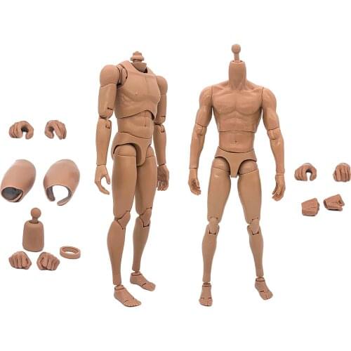 Premium 1/6 Action Figure Narrow Shoulder Male Skeleton Hands Connector Arts Drawings Flexible Dolls Head Sculpture Fits HT