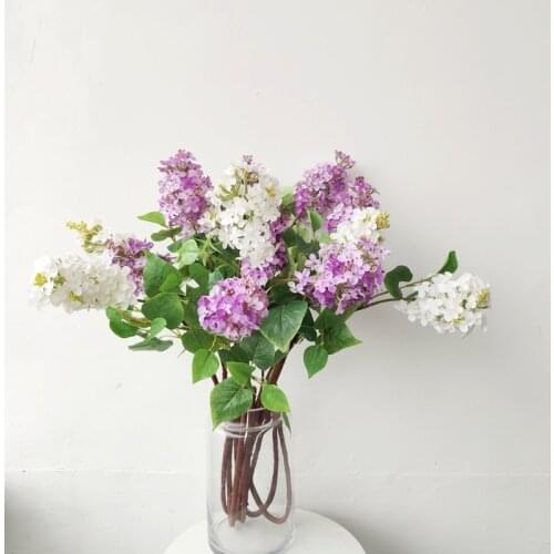 Norse forest small strawberry imitation raspberry wild strawberry blackberry prune plant fruit tree branch