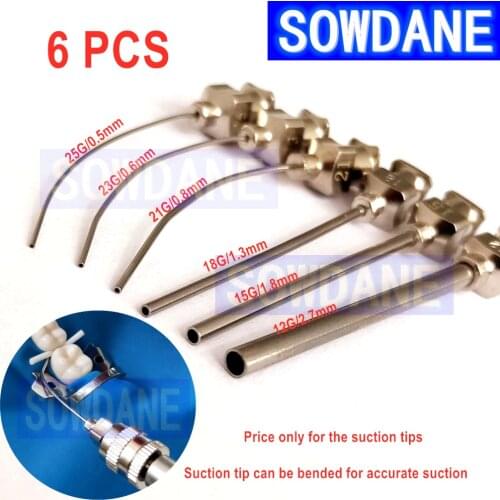 6pcs Dental Saliva Ejector Tips Suction Tip for Accurate Scution Root Canal Irrigation Suction Stainless Steel