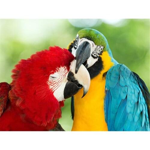 Parrot Bird Animal DIY Embroidery Cross Stitch 11CT Kits Needlework Craft Set Printed Canvas Cotton Thread Home Design