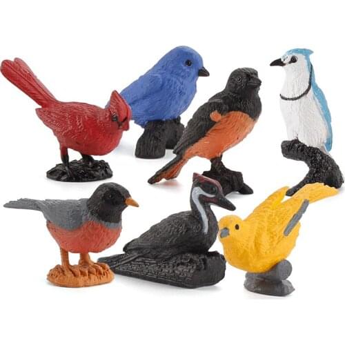 7pcs/set Small Size Birds Animal Cognition Action Figures Kids Plastic Toys Animal Figure Collectible Toys