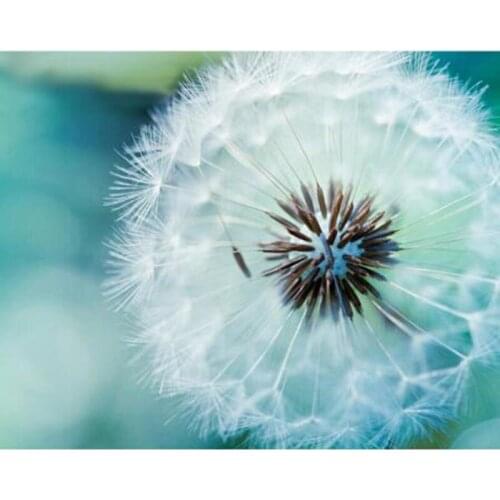 Diamond Painting Full Square Diamond "Dandelion" 3D Embroidery Cross Stitch Rhinestone 5D DIY Mosaic Decor