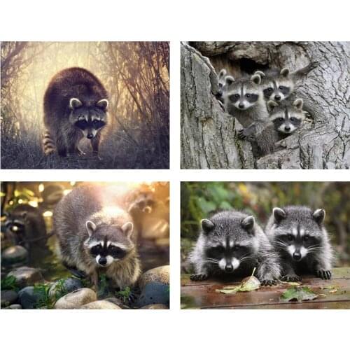 5D DIY full square raccoon diamond painting animal picture cross stitch diamond embroidery rhinestone mosaic home decoration kit
