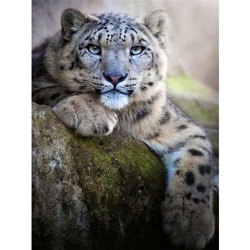 Full Square Craft Diamond Painting Animal Diamond Embroidery Cross Stitch Snow Leopard Mosaic Sale Decor for Home