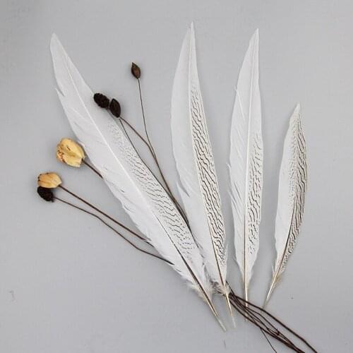 Silver pheasant feathers 35-60CM Pheasant tail Feather Plumas white Chicken Feathers for Crafts Costume wedding party decoration