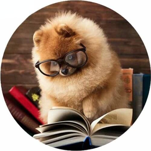 13cm for Pomeranian Dog Reading Book Creative Car Sticker DIY Anime Fashion Occlusion Scratch VAN SUV Decals