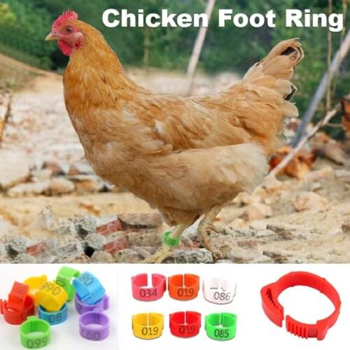 30/100 Chicken Foot Ring Adjustable ​Poultry Leg Digital Label Buckle Ring ​6Colors Plastic ​Chick Duck Goose Farm Identificatio