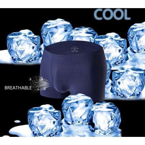 Men Boxer Mens Cool Underpants Male Pure Panties Shorts Ice Silk Underwear Shorts New Arrival Solid Cuecas Comfort Boxers C312
