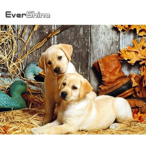 Evershine 5D DIY Diamond Embroidery Full Display Animals Cross Stitch Diamond Painting Dogs Rhinestones Pictures Diamond Mosaic