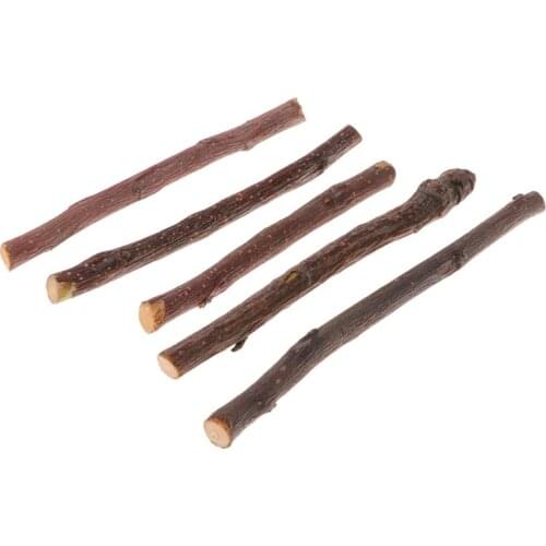 5pcs Chew Stick Tree Hamster Squirrel Natural Toys Parrots Rabbits