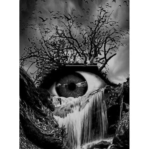 5D Square/round Diy Diamond Embroidery "Eyes,Tears-Fall,Branches,Crows," Full Drill Mosaic Diamond Painting Handwork Decor DF485