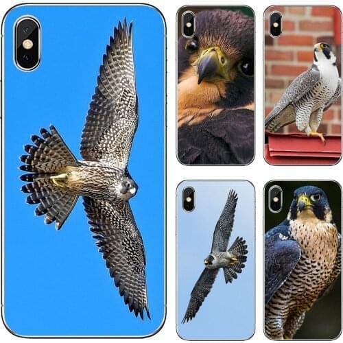 Peregrine-Falcon-fastest-animal-Birds For Samsung Galaxy A12 A31 A41 A51 A71 A20e A21s M30 A10 A30 A40 A50 A60 A70 Phone Cover