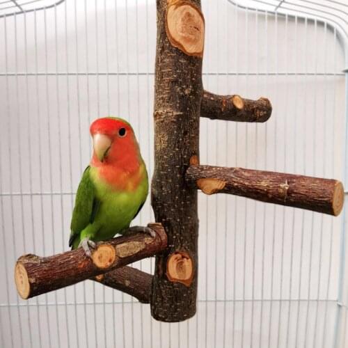 Pet Parrot Raw Bird Stand Perch Stick Pole Wood Fork Tree Branch Stand Rack Toy Parrot Perches For Bird Cage Wooden Cage Tool
