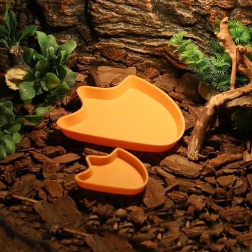 Amphibians Reptiles Feeder Plastic Reptile Terrarium Feeding Basin Tortoise Lizard Crawler Bowl Basin Water Fountain for Turtles