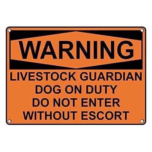 Metal Sign Great Aluminum Tin Sign Warning Livestock Guardian Dog On Duty Do Not Enter Sign with English Text 8 X 12 Inch