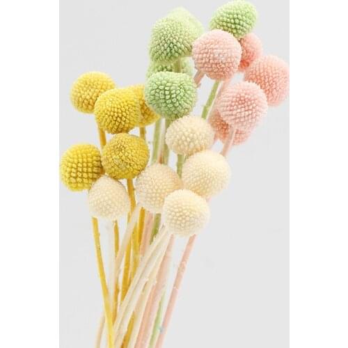 20PCS/Lot Natural Dried Flower Golden Ball Orbs Bouquet For DIY Home Wedding Dining Table Decoration Photography Props New Year