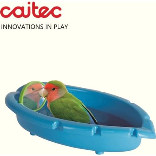 CAITEC Mirrors