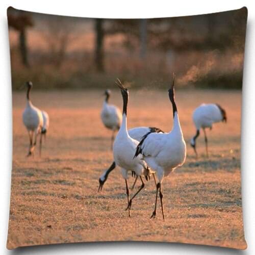 Birds in the setting sun Cotton Polyester square 5 size 9 style Pillows Case for Sofa Car Cushion Cover Creative Decoration