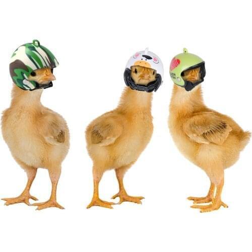 Cute Chicken Helmet Small Pet Supplies Hard Hat Bird Headgear Pets Quail Toy Chickens Accessories Pet Products Head Protector
