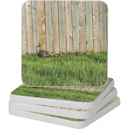 Ducklings Diatomite Square Round Shape Coaster Heat Insulation Cup Bonsai Mat Soap Toothbrush Pad 10x10cm