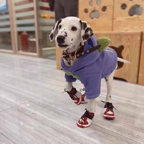 Fashion Pet Dog Basketball Shoes Winter Warm Shoe Anti-slip Pets Soles Waterproof Dog Boots Perfect for Small Medium Dogs FZS01